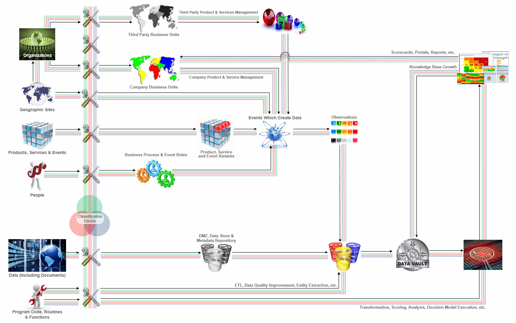 Chameleon Life Cycle Diagram